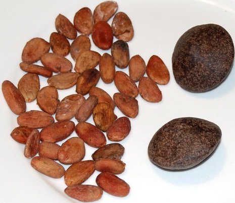 cocoa beans and chocolate balls