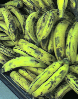 ripe plantains